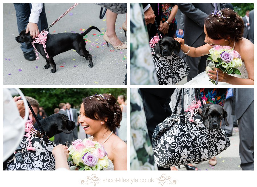 hannah & stephen048